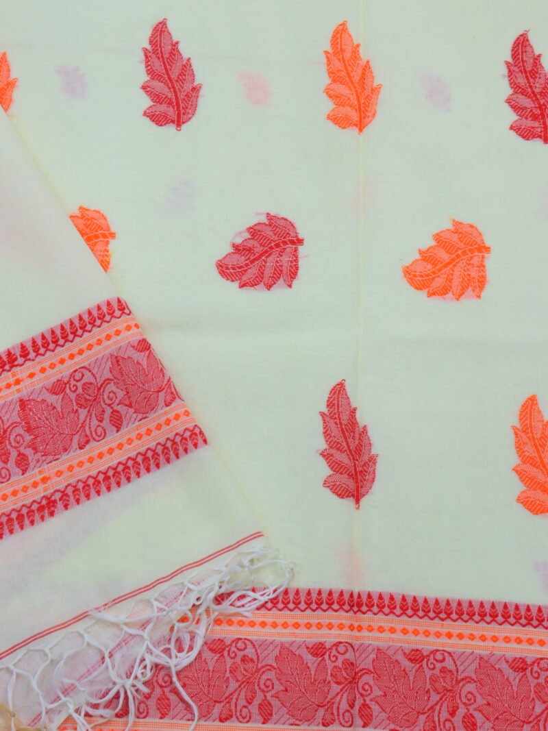 Off-White Bengal Handloom Cotton Saree - Image 5
